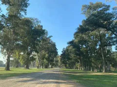 Terreno en Venta de 1500,0 m2