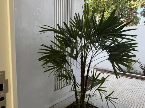 Casa en Alquiler con 2 cocheras