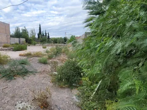 Terreno en Venta de 263,0 m2