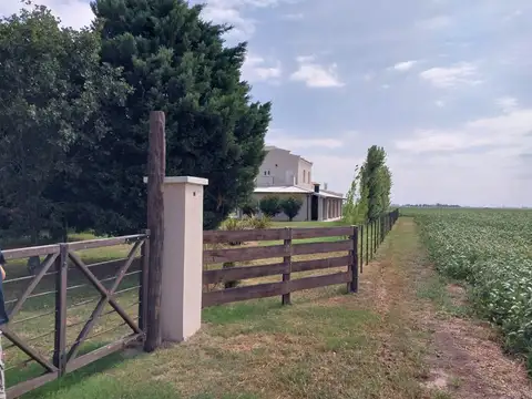 Campo en Pergamino 515 has. del mejor suelo Argentino