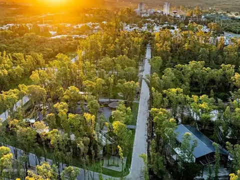 Ruta Nacional N20 Km, Colectora Sur.