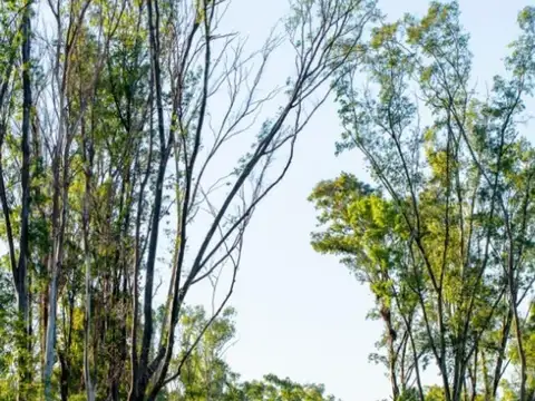 Terreno en venta 250 m² en Nuevo Malagueño, financiado!