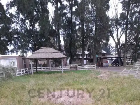 Haras el Terraplen , Piso 0