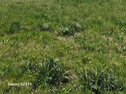 Terreno en Venta 25  mts Frente