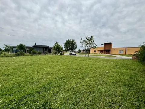 SAN SEBASTIAN AREA 10 COD 822.5