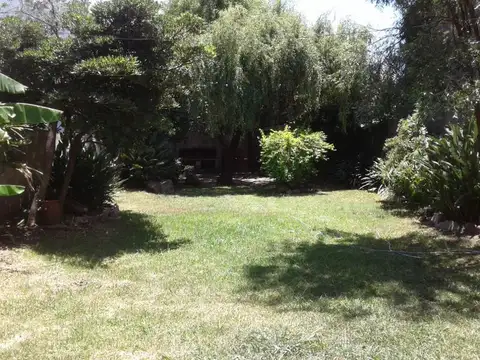 Depto Tipo Casa en Alquiler al Noreste