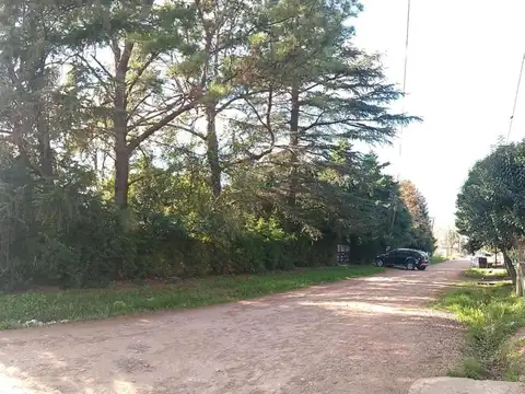 Calle 613 Nº2066/1066 Entre 510 Y 512