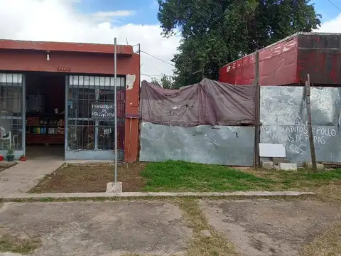 VENTA CASA CON LOCAL A REFACCIONAR PARQUE LICEO 