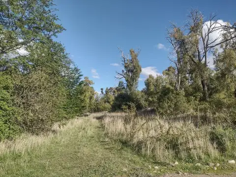 Terreno en Venta de 24000,0 m2