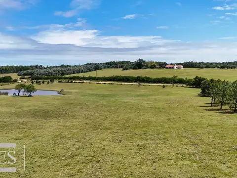 Quinta en Venta en José Ignacio, USD 8.000.000
