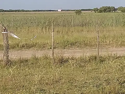 Campo en Venta de 101  ha