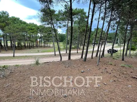 VILLA ROBLES PARTIDO DE LA COSTA