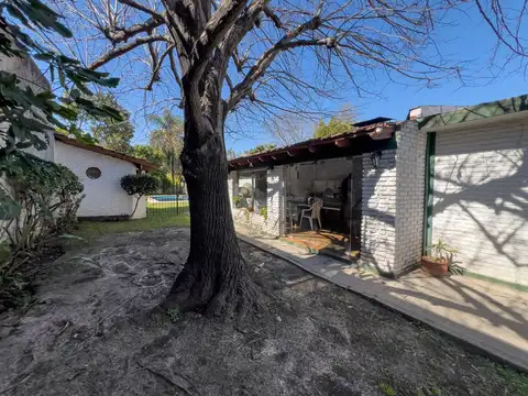 Maestra Baldini 1300