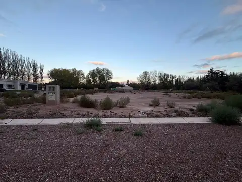 Terreno en Venta en Chacras de Coria, Luján de Cuyo