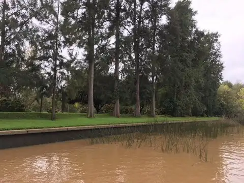 Rio / Arroyo Toro La Joyita 100