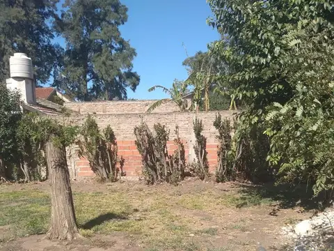 El Gaucho 300