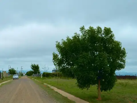 RUTA PROVINCIAL E53