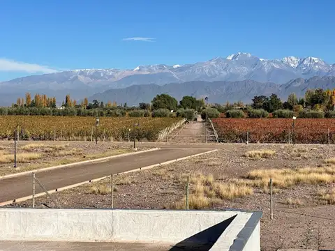 VENTA TERRENO BARRIO PRIVADO CARRASCAL - AZCUÉNAGA