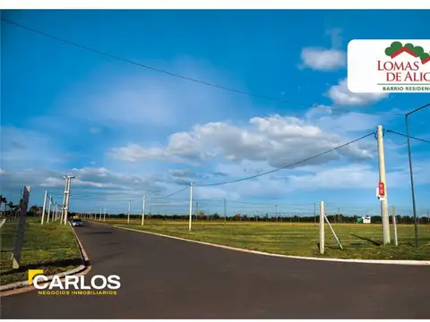 Silvestre Begnis y Avenida de los Granaderos