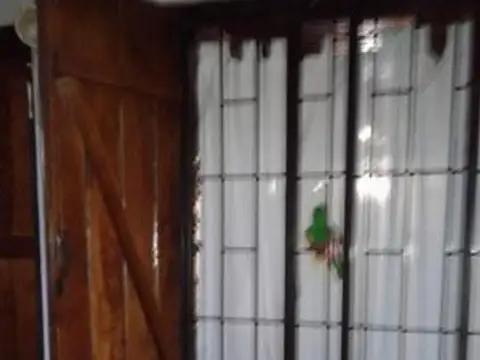 Luis Pasteur 1800/2100