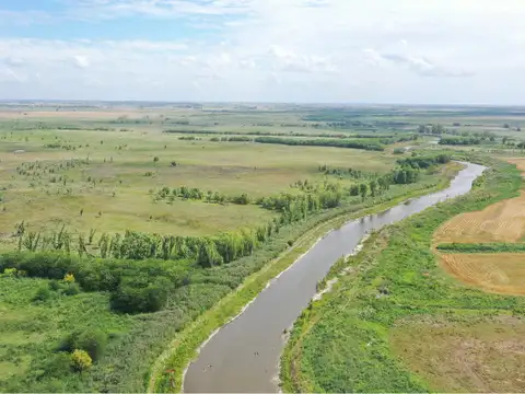 Campo en Venta de 375  ha