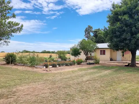Campo en Venta Mixto