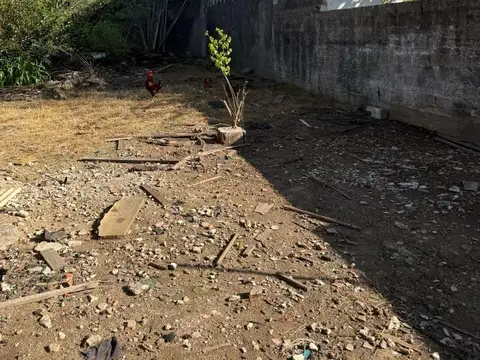 Vicente Camarago 2500