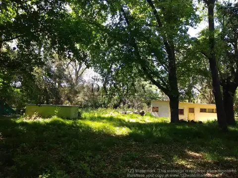 Precioso LOTE FORESTADO, EL MORO c/ pileta y casa a reciclar