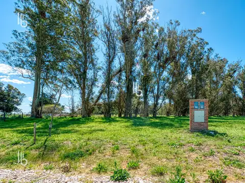 Terreno en Venta de 1003,0 m2