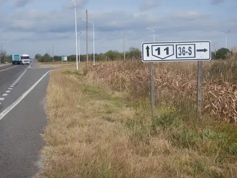 Campo en Venta de 100  ha