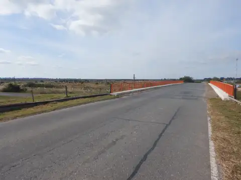 Campo en Venta de 100  ha