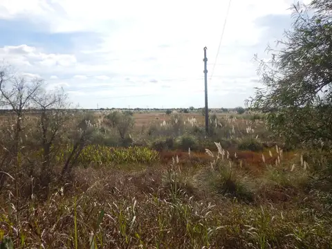 Campo en Venta con Alambrado