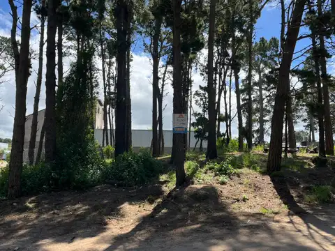 san clemente entre 36 y 37