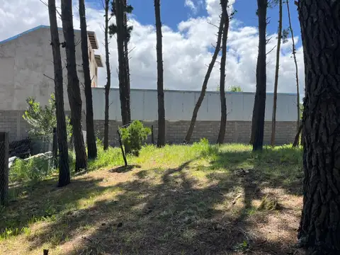 Terreno en Venta 11  mts Frente