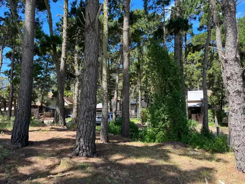 Terreno en Venta 25  mts Fondo