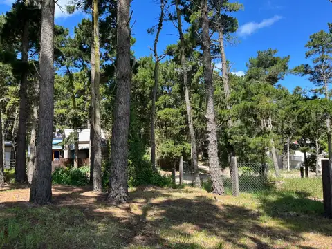 Terreno en Venta de 275,0 m2