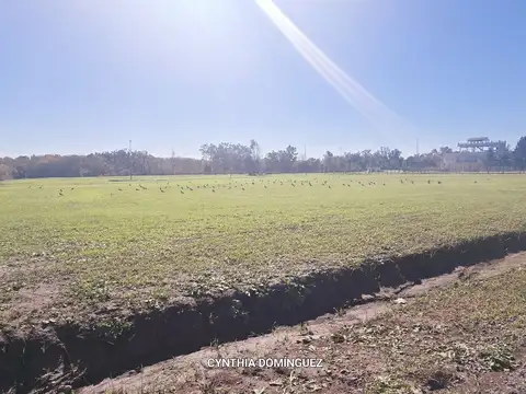 Terreno en  EL PATO