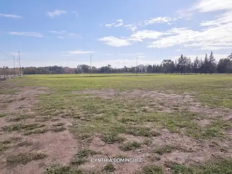 Terreno en Venta en Centro Agricola el Pato, USD 25.000