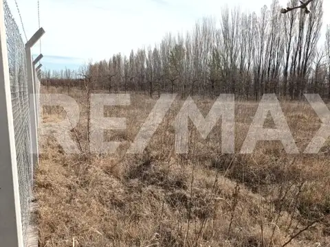 Terreno en Alquiler de 1400,0 m2