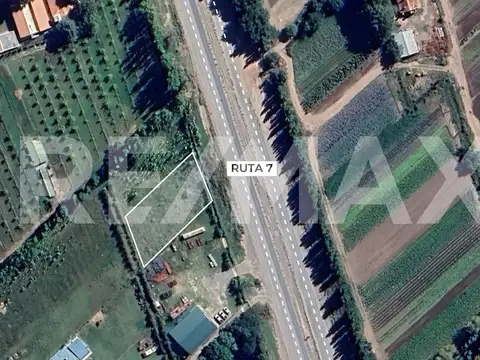 Terreno en Alquiler en Centenario, USD 1.000