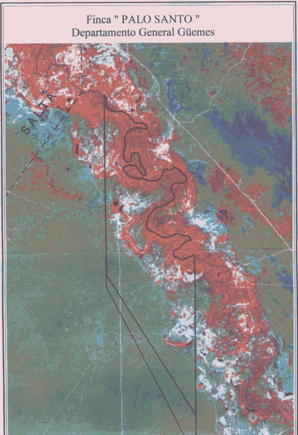 Campo en Venta Forestal