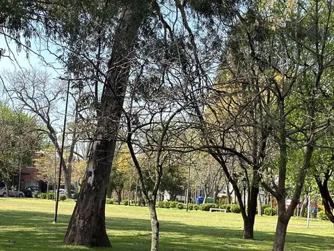 Casa en Alquiler de 2 dormitorios