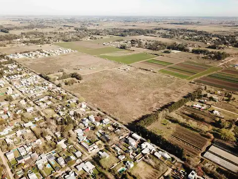 Campo en Venta en Villa Parque Sicardi, Partido de La Plata