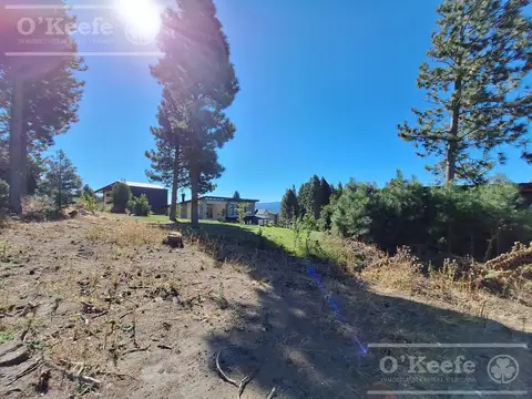 Terreno en Venta 40  mts Fondo