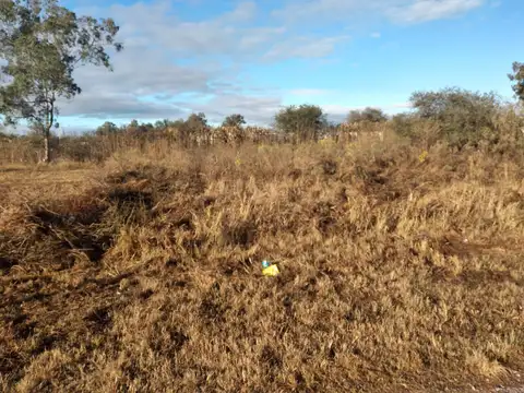 Venta lote 477,78 m2 La Silleta La Arbolada