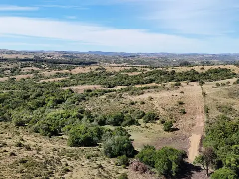 Fraccionamiento de 3 y 4 ha en sierras de Pueblo Edén