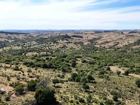 Fraccionamiento de 3 y 4 ha en sierras de Pueblo Edén
