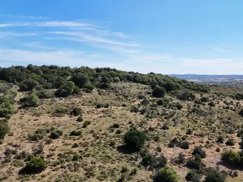 Fraccionamiento de 3 y 4 ha en sierras de Pueblo Edén