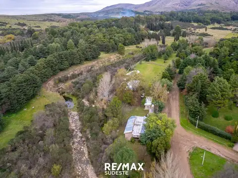 Belisario y Gorrión 100