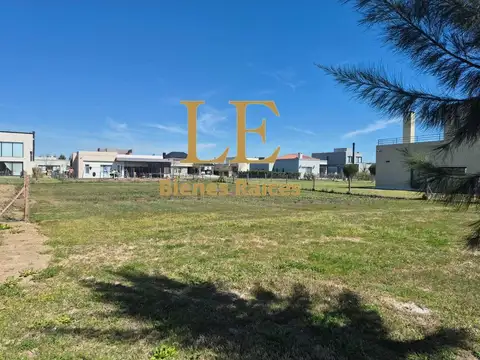 El Naudir 100